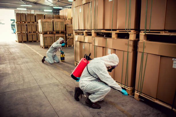 Best Flea Control Services  in Red Oak, IA