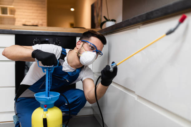 Best Affordable Pest Control Services  in Red Oak, IA