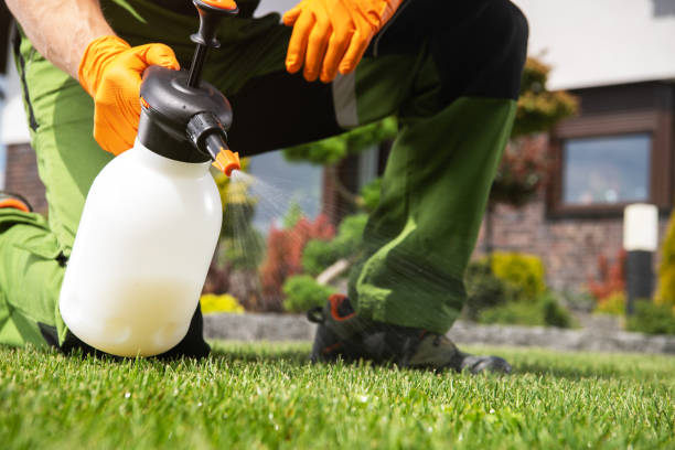 Best Pest Control Near Me in Red Oak, IA