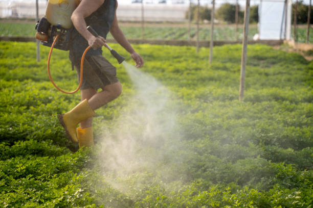 Best Best Pest Control Companies  in Red Oak, IA