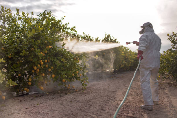 Best Pest Prevention Services  in Red Oak, IA