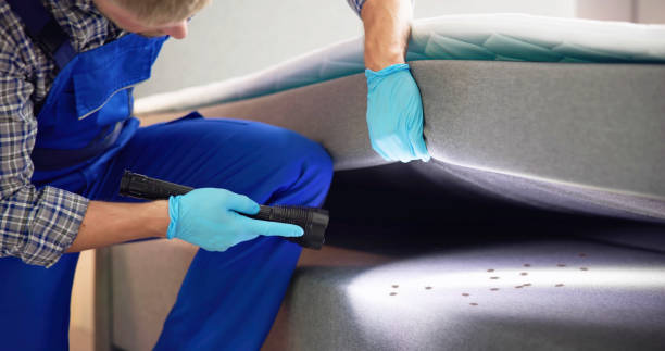 Professional Pest Control in Red Oak, IA