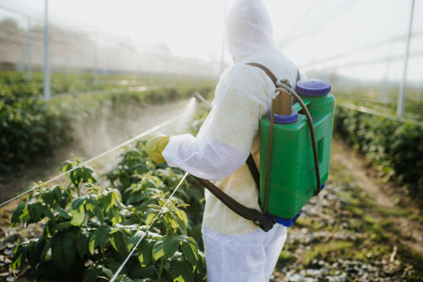 Best Pest Removal Services  in Red Oak, IA